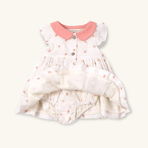 Strawberry Peter Pan Dress + Bloomers - Dove White