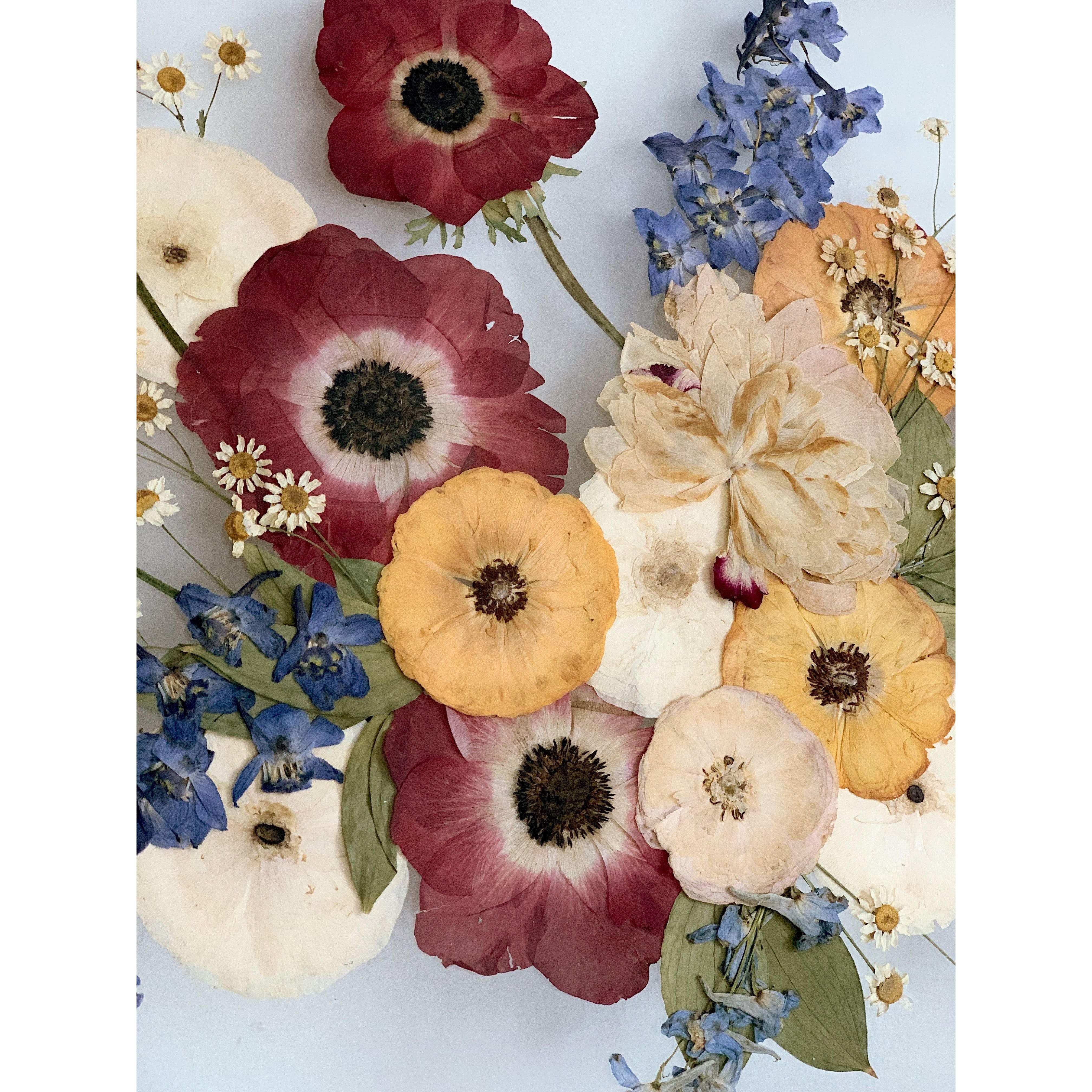Pressed Flowers - 16x20