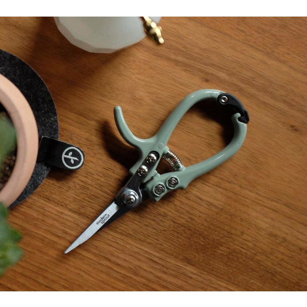 Pruning Shears