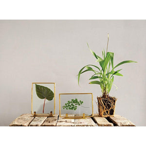 Floating Frame with Brass Stand